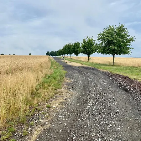 Vidim Nyaraló