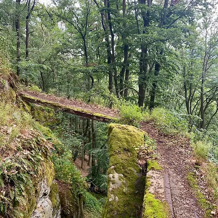 Nyaraló Vidim Dolní Vidim