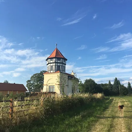 Nyaraló Vidim *
