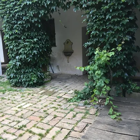 Vidim Nyaraló